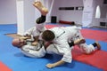 Judo fighters