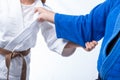 Judo Gripping between female judo brown belt and her sensei black belt isolated on white