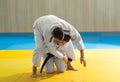 Judo sport training in the sports hall Royalty Free Stock Photo