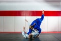 Judo on tatami Royalty Free Stock Photo