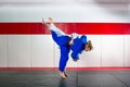 Judo on tatami Royalty Free Stock Photo