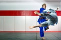 Judo on tatami Royalty Free Stock Photo