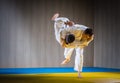 Judo training in the sports hall Royalty Free Stock Photo