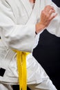 Judo yellow belt Royalty Free Stock Photo