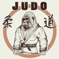 Judoka gorilla dressed in kimono Royalty Free Stock Photo