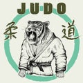 Judoka tiger dressed in kimono