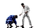 Judokas fighters fighting men silhouette Royalty Free Stock Photo