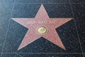 Judy Garland Hollywood Star