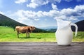 Jug of milk against background of cow and mountain pasture Royalty Free Stock Photo