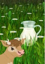 Jug of milk field with cow`s face Royalty Free Stock Photo