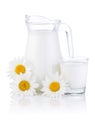 Jug milk, glass and three chamomile flowers