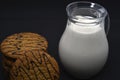A jug of milk and oatmeal cookies. Delicious breakfast. Oatmeal cookies with milk