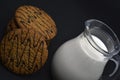 A jug of milk and oatmeal cookies. Delicious breakfast. Oatmeal cookies with milk