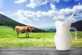 Jug of milk with splash on background of brown cow in mountains Royalty Free Stock Photo