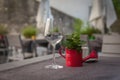 jug of water as a decoration on a wooden table Royalty Free Stock Photo