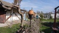 Jug on wooden fence, village yard and culture