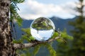 Juggling ball laid on tree branch. Mountain view reflecting in the globe. Concept about lifestyle, nature and fun.