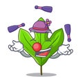 Juggling sassafras leaf in the shape cartoon