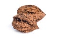 Juglans mandshurica or Manchurian walnut on white backg Royalty Free Stock Photo