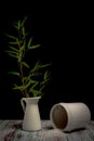 Jugs with spread ice small cubes on wooden old table and bamboo flower Royalty Free Stock Photo