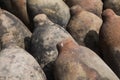 Jugs used to ferment Pisco at El Catador vineyard in Peru