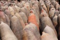 Jugs used to ferment Pisco at El Catador vineyard in Peru