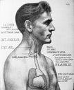 Jugular vein in the old book Physical diagnosis by Howard Anders, New York, 1907