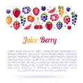 Juice Berry flayer