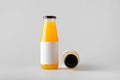 Juice Bottle Mock-Up - Two Bottles. Blank Label Royalty Free Stock Photo