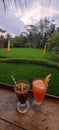Juice in cafe with natural view and sunset and ricefield