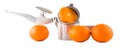 Juice extractor manual and oranges Royalty Free Stock Photo