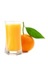 Juice glass and orange fruit Royalty Free Stock Photo