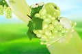 Juice Grape and Apple with splash. Flow of liquid with drops and sweet fruit 3d realistic vector illustration, package design or