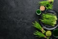 The juice from the green sprouted wheat, and wheat grains. On a black background. Micro Green. Healthy food. Royalty Free Stock Photo