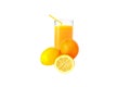 The juice from the lemons and orange Royalty Free Stock Photo