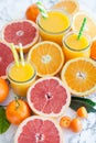 Juice made from fresh citrus fruits Royalty Free Stock Photo