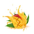 Juice milk yogurt mango cubes splashing. Juicy mango splash pack Royalty Free Stock Photo