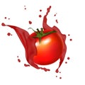 Juice red tomato splashing. Realistic, 3d juicy tomatoes splash Royalty Free Stock Photo