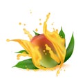 Juice splash of mango, orange, peach with leaves isolated on white background. Vector.