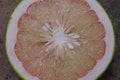 Juice vesicles and seeds of pomelo cross section