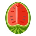 Juice watermelon icon cartoon vector. Summer fruit