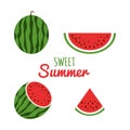 Juice watermelon set. Watermelon icon in a flat style. Red slices of watermelons. Sweet summer background. Vector