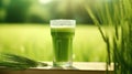 juice from wheatgrass, in a glass glass. healthy nutrition. Generative AI Royalty Free Stock Photo