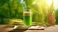 juice from wheatgrass, in a glass glass. healthy nutrition. Generative AI Royalty Free Stock Photo