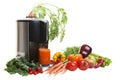 Juicer Royalty Free Stock Photo