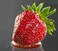 Juicy appetizing strawberry Royalty Free Stock Photo