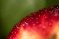 Juicy apple with water drops macro abstract blurred background Royalty Free Stock Photo