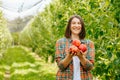 Juicy apples in the hands of a young woman gardener stands in a garden where apple trees grow.