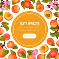 Juicy Apricot Fruit Banner Design with Ripe Garden Crop Vector Template