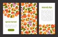 Juicy Apricot Fruit Banner Design with Ripe Garden Crop Vector Template